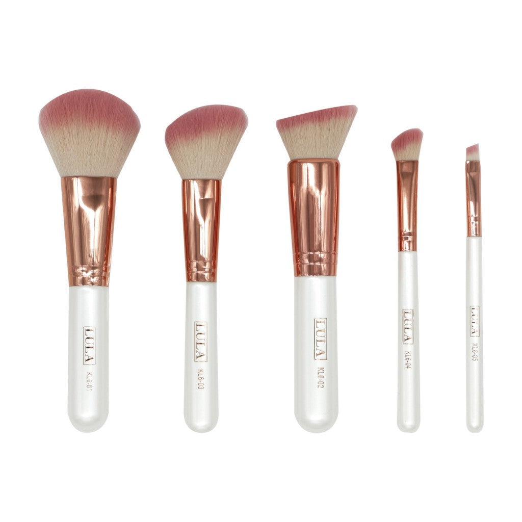 Set de brochas lula 2025