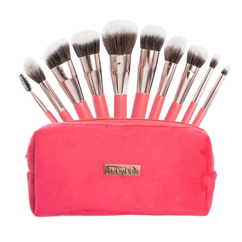 Kit Brocha X10 Rosa Terciopelo - Trendy