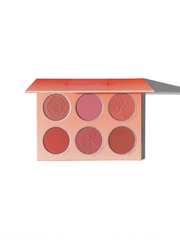 Paleta de Rubores SheGlam